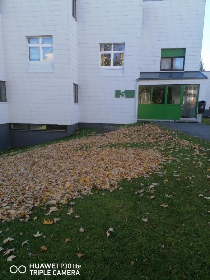 King Apartament 1 Mit Netflix Lägenhet Sankt Englmar Exteriör bild